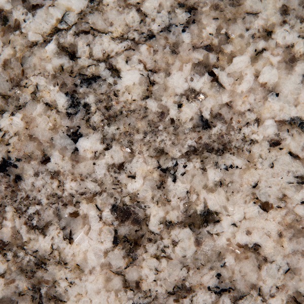 Arctic Sand granite countertop slab — MSI Surfaces — WoodArt Cabinets San Antonio