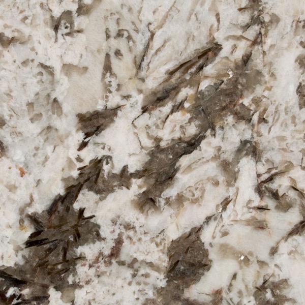 Bianco Antico granite countertop slab — MSI Surfaces — WoodArt Cabinets San Antonio