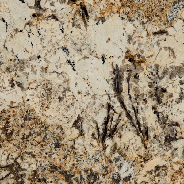 Caravelas Gold granite countertop slab — MSI Surfaces — WoodArt Cabinets San Antonio