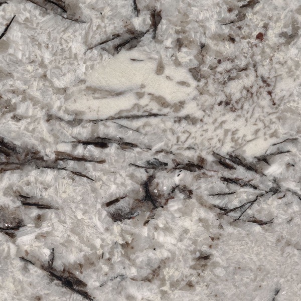 Delicatus White granite countertop slab — MSI Surfaces — WoodArt Cabinets San Antonio