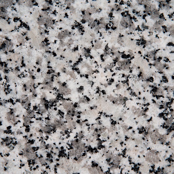 Luna Pearl granite countertop slab — MSI Surfaces — WoodArt Cabinets San Antonio