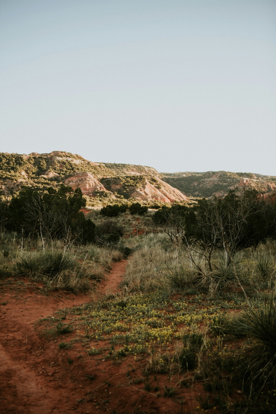 Floresville, Texas — service area for WoodArt Cabinets San Antonio cabinet & countertop showroom